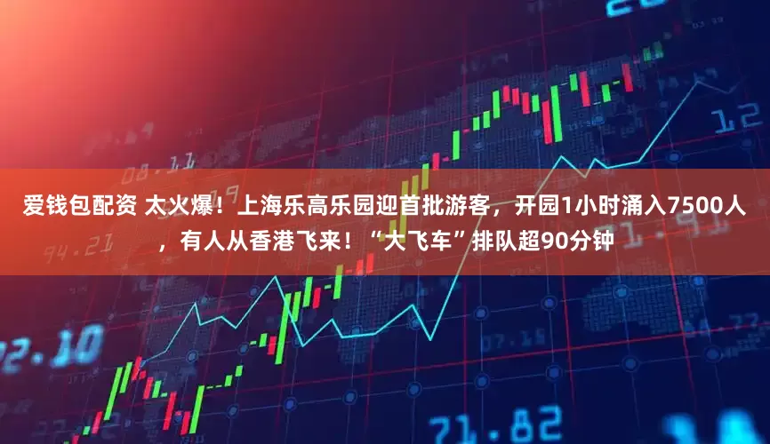 爱钱包配资 太火爆！上海乐高乐园迎首批游客，开园1小时涌入7500人，有人从香港飞来！“大飞车”排队超90分钟