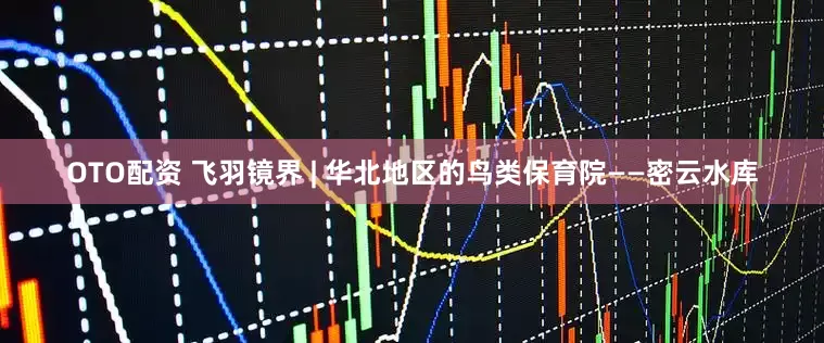 OTO配资 飞羽镜界 | 华北地区的鸟类保育院——密云水库