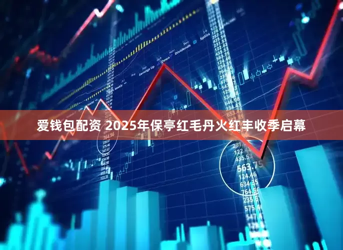 爱钱包配资 2025年保亭红毛丹火红丰收季启幕