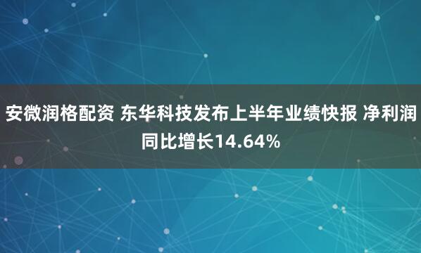 安微润格配资 东华科技发布上半年业绩快报 净利润同比增长14.64%